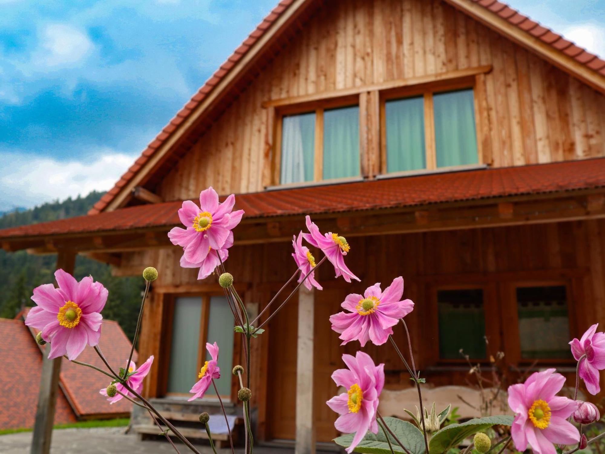 Dolomiti Village Comeglians Экстерьер фото